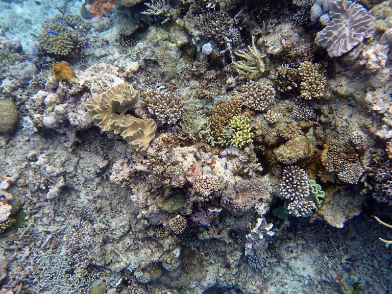 Viewing photos→2018→2018-09-12→050