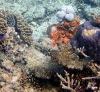 051.jpeg - Tue Sep 11 23:12:15 2018