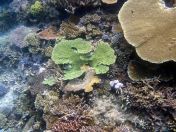 052.jpeg - 2018:09:11 21:12:50