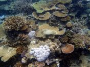 053.jpeg - 2018:09:11 21:13:00