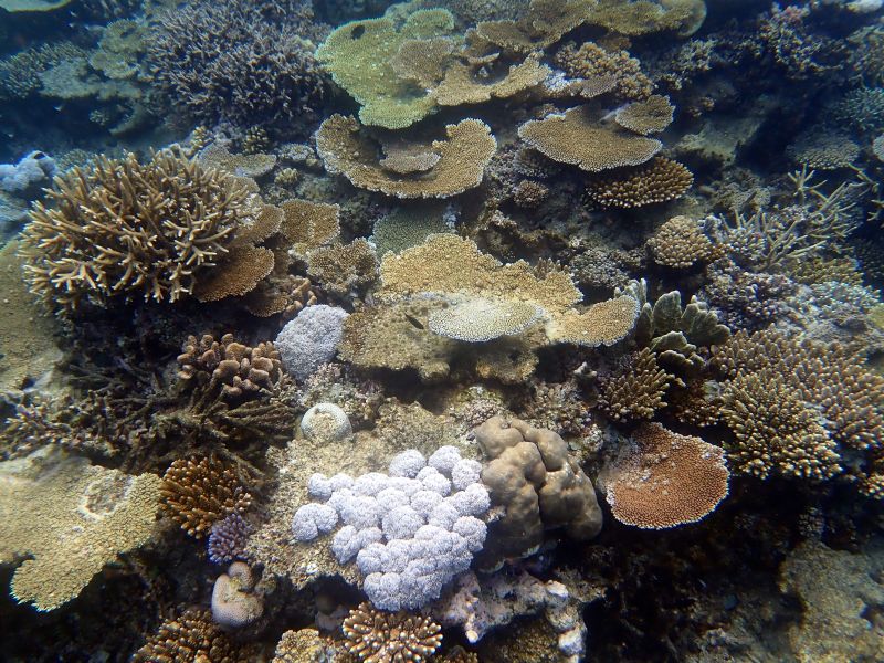 Viewing photos→2018→2018-09-12→053