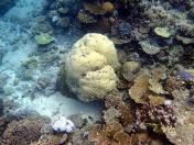 054.jpeg - 2018:09:11 21:13:18