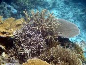 055.jpeg - 2018:09:11 21:13:28