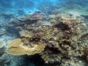 056.jpeg - 2018:09:11 21:14:45