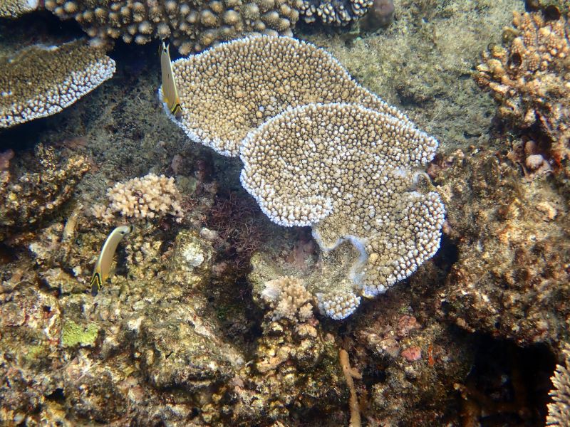 Viewing photos→2018→2018-09-12→057