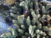 058.jpeg - 2018:09:11 21:15:24