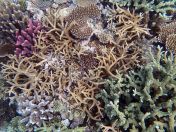 059.jpeg - 2018:09:11 21:16:33