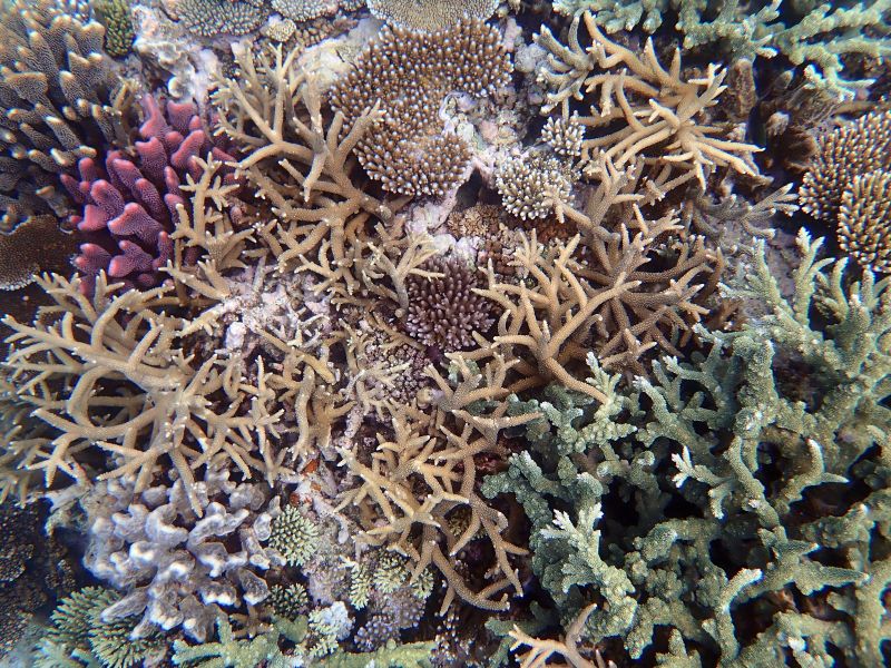 Viewing photos→2018→2018-09-12→059