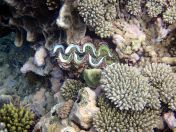 060.jpeg - 2018:09:11 21:16:51