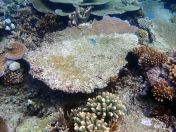 062.jpeg - 2018:09:11 21:18:40