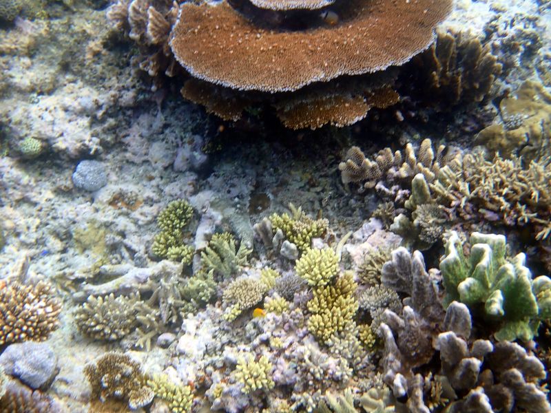 Viewing photos→2018→2018-09-12→063