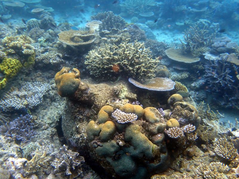 Viewing photos→2018→2018-09-12→064