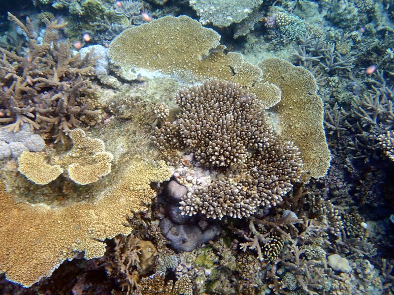 Viewing photos→2018→2018-09-12→066