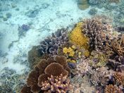 067.jpeg - 2018:09:11 21:21:01