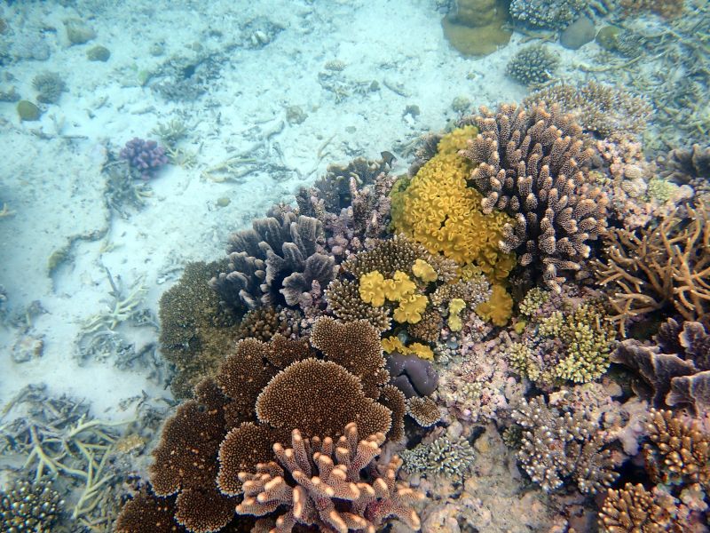 Viewing photos→2018→2018-09-12→067