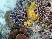 068.jpeg - 2018:09:11 21:21:07