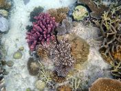 069.jpeg - 2018:09:11 21:21:21