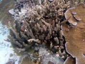 070.jpeg - 2018:09:11 21:21:42