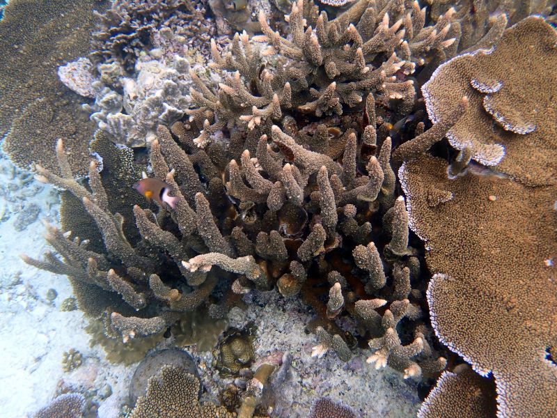 Viewing photos→2018→2018-09-12→070