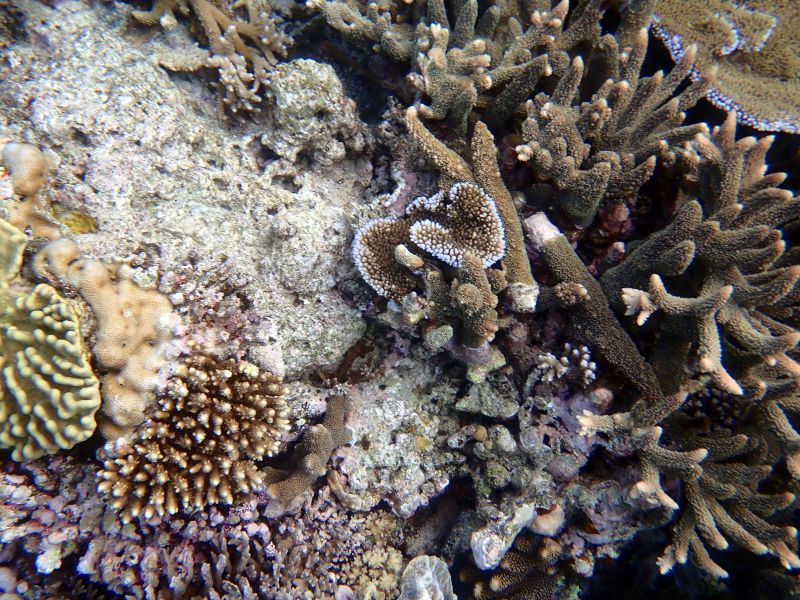 Viewing photos→2018→2018-09-12→071