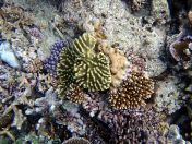 072.jpeg - 2018:09:11 21:21:53