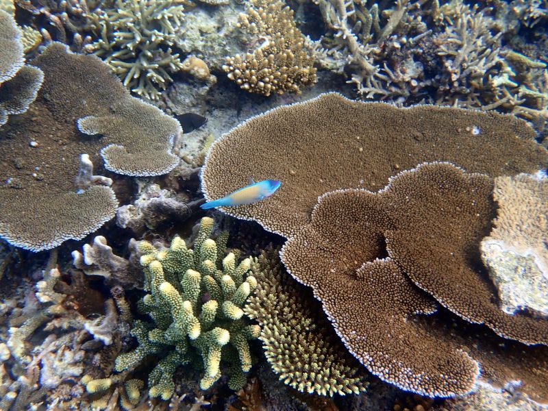 Viewing photos→2018→2018-09-12→073