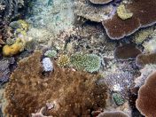 074.jpeg - 2018:09:11 21:22:00