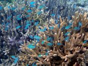 075.jpeg - 2018:09:11 21:22:53