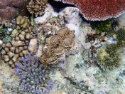 076.jpeg - 2018:09:11 21:23:44