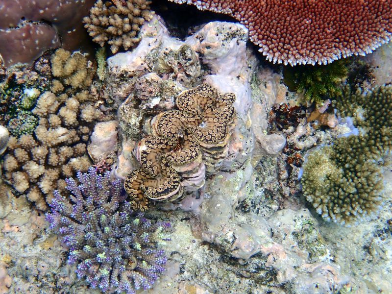 Viewing photos→2018→2018-09-12→076