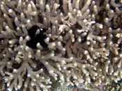 077.jpeg - 2018:09:11 21:23:52