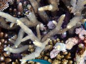 078.jpeg - 2018:09:11 21:25:00