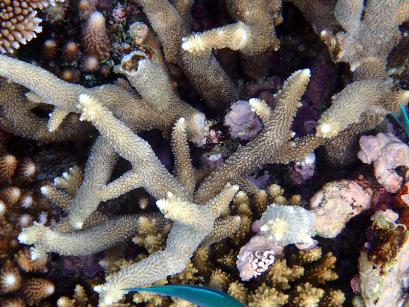 Viewing photos→2018→2018-09-12→078