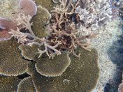 079.jpeg - 2018:09:11 21:25:46