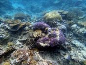 080.jpeg - 2018:09:11 21:26:37