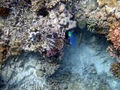 081.jpeg - 2018:09:11 21:27:18