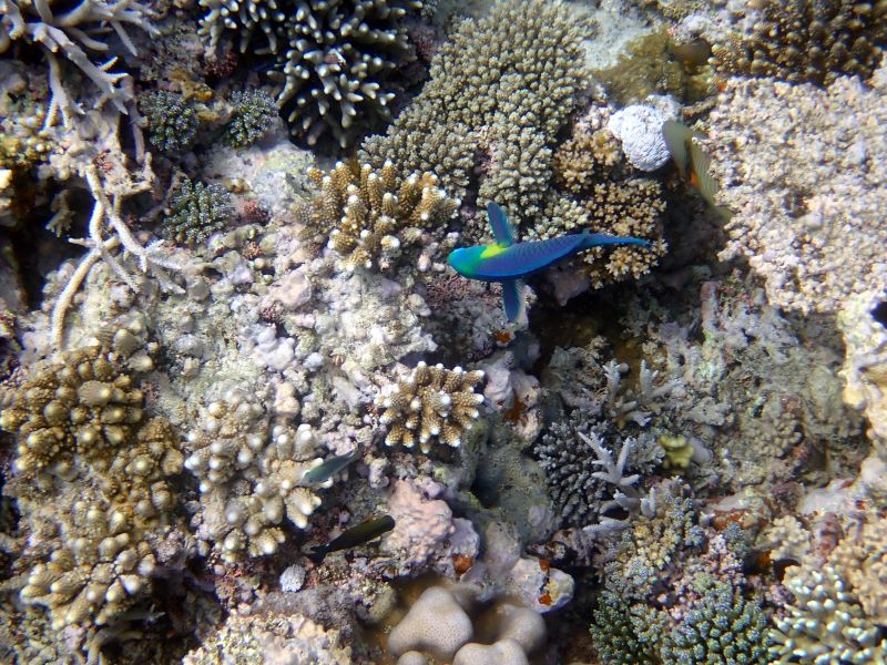 Viewing photos→2018→2018-09-12→082