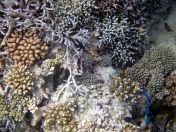 083.jpeg - 2018:09:11 21:27:24