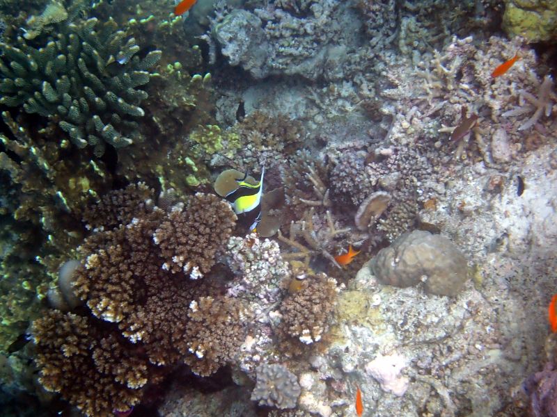 Viewing photos→2018→2018-09-12→084