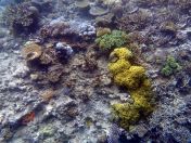 085.jpeg - 2018:09:11 22:32:40