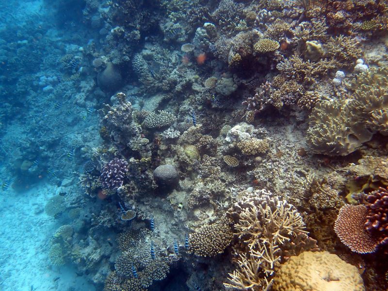 Viewing photos→2018→2018-09-12→086