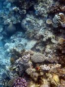 087.jpeg - 2018:09:11 22:33:04