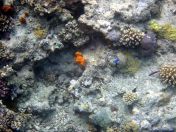 088.jpeg - 2018:09:11 22:33:49