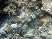 089.jpeg - 2018:09:11 22:33:50