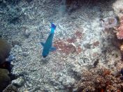 090.jpeg - 2018:09:11 22:34:29