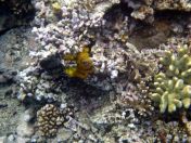 091.jpeg - 2018:09:11 22:34:51