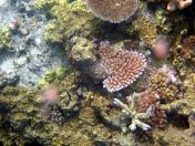 092.jpeg - 2018:09:11 22:35:13