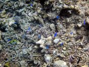 093.jpeg - 2018:09:11 22:35:47