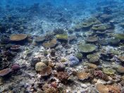 094.jpeg - 2018:09:11 22:36:51