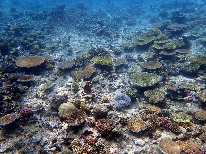 Viewing photos→2018→2018-09-12→094